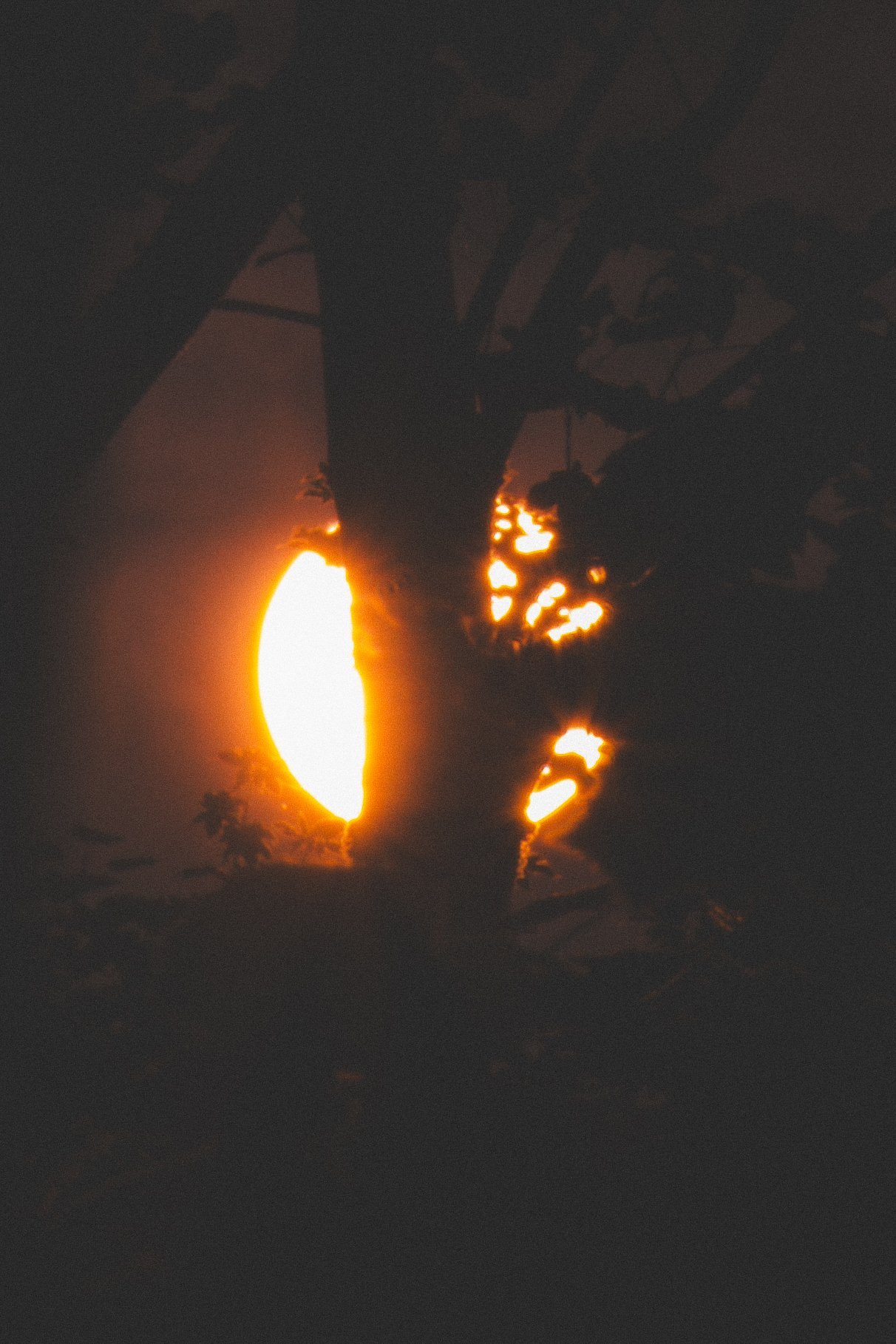 Selected work 23 by Nick Schildknecht