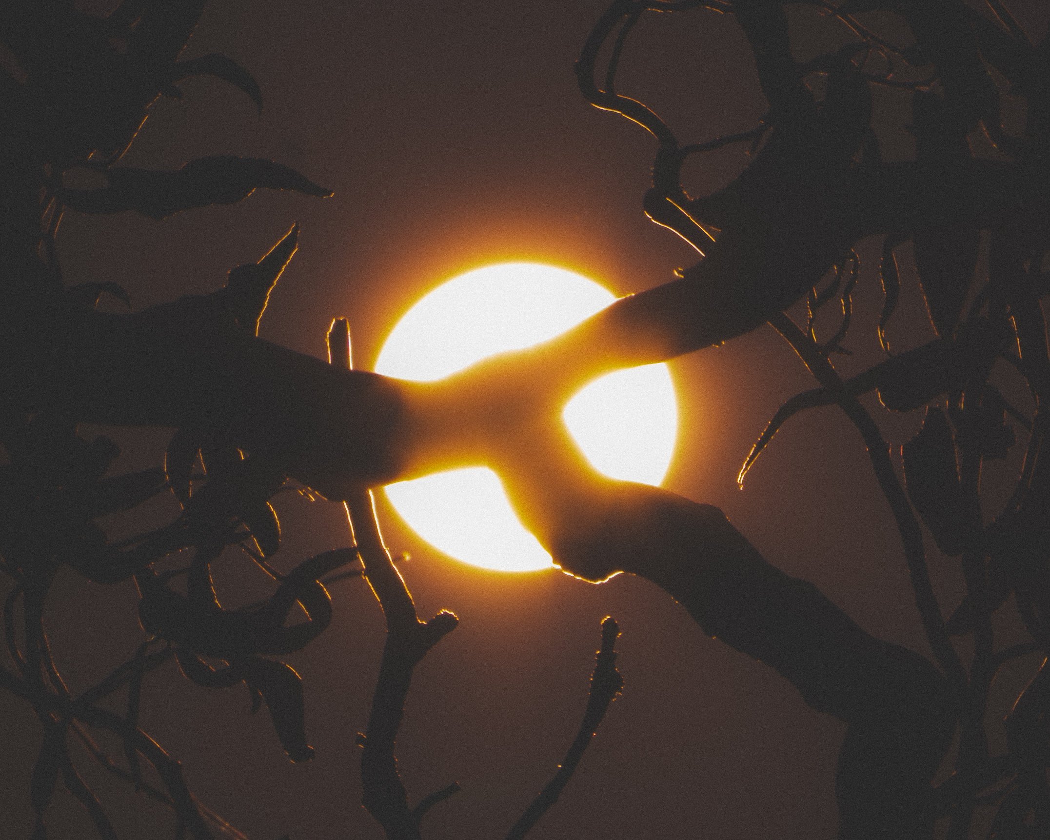 Selected work 25 by Nick Schildknecht
