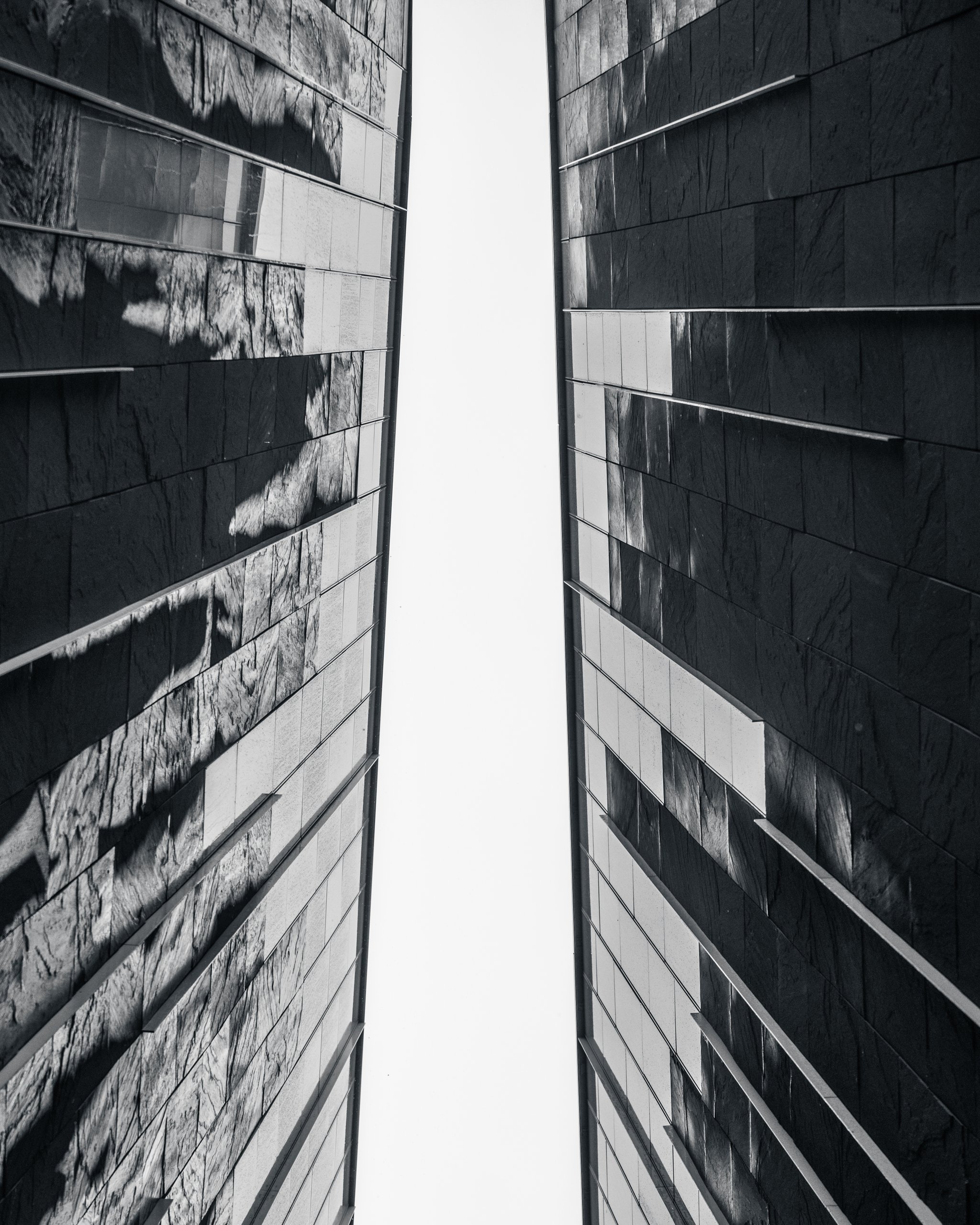 Selected work 41 by Nick Schildknecht