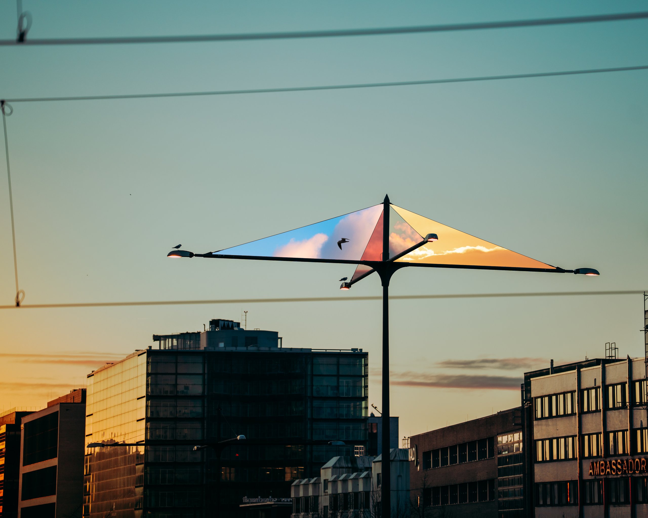 Selected work 47 by Nick Schildknecht